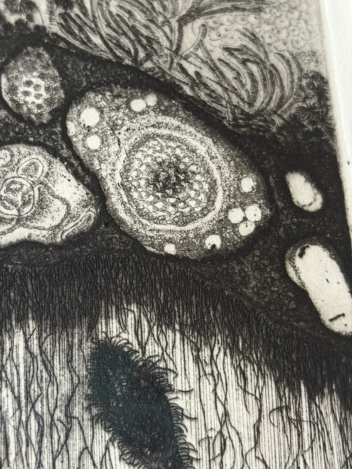 Galaxy Kirin – Signed Etching, 1996, 2/35