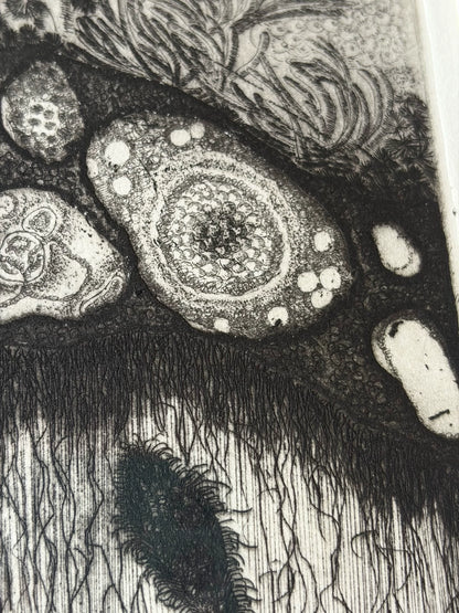 Galaxy Kirin – Signed Etching, 1996, 2/35