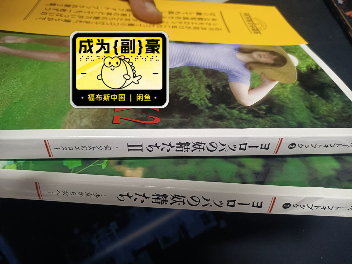 Yoji Ishikawa – Photography Book – Two-Volume Set — detail 4