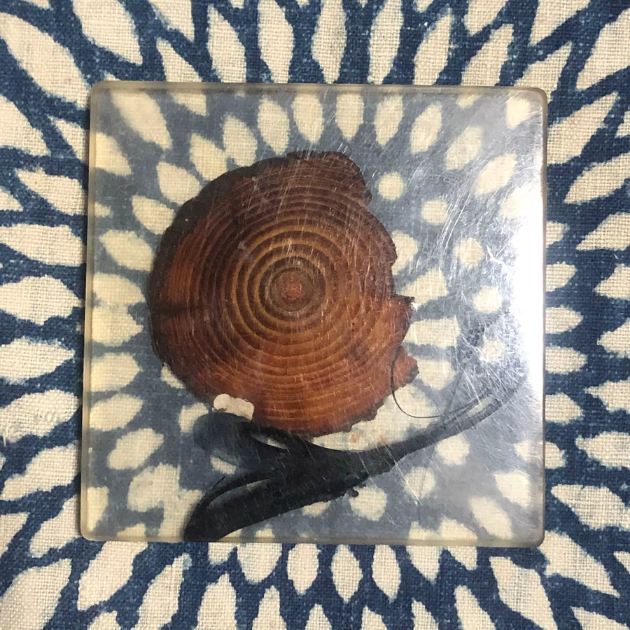 Tree-Ring Acrylic Display Coaster, 8 cm