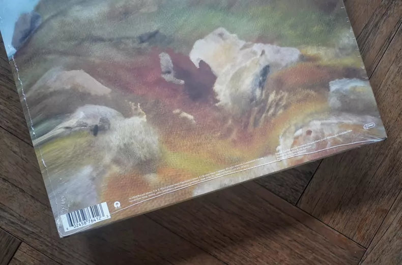 English Teacher – This Could Be Texas – 2024 Green Vinyl (LP) — photo 7