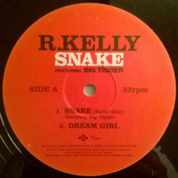 R. Kelly Ft. Big Tigger – Snake – edition reference image