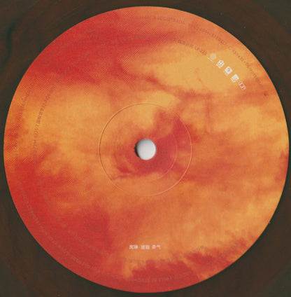 席琳・迪翁 = Celine Dion – Courage = 勇氣（中國限量琥珀大理石紋 2LP） — image 12