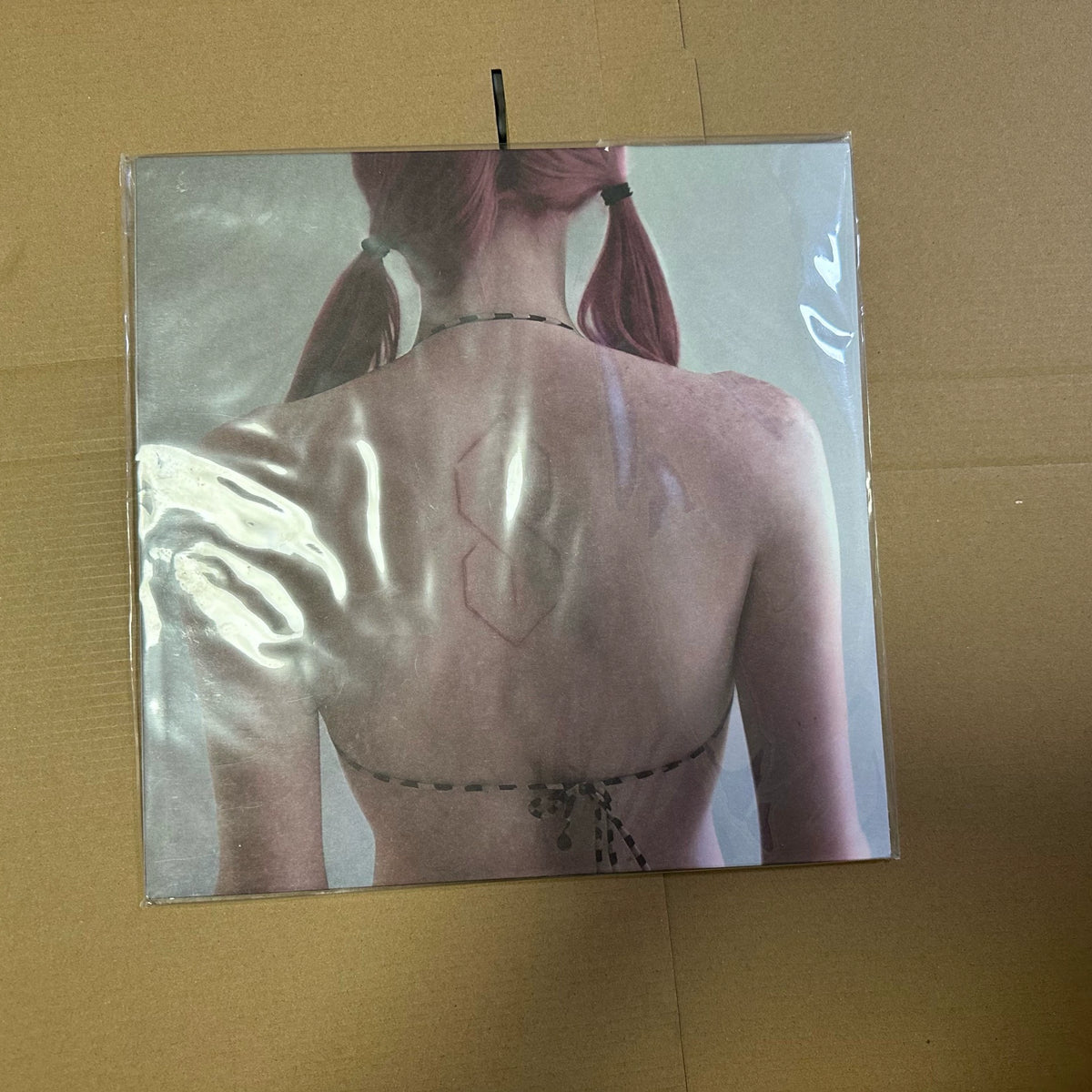 Seller photograph: Frost Children — Sister | Black & Purple Splatter Vinyl