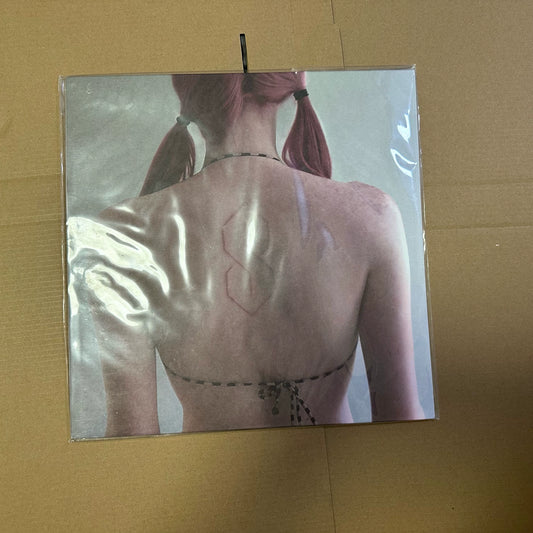 Seller photograph: Frost Children — Sister | Black & Purple Splatter Vinyl