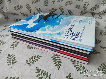Noizi Ito - Shakugan no Shana Art Book Set, 4 Volumes