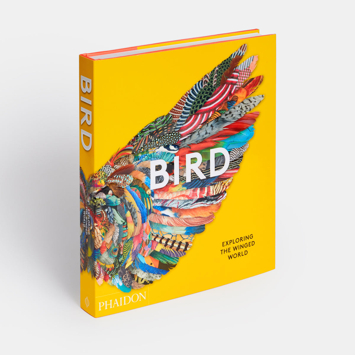 Bird: Exploring the Winged World — Art & Culture Survey