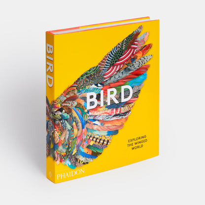 Bird: Exploring the Winged World — Art & Culture Survey