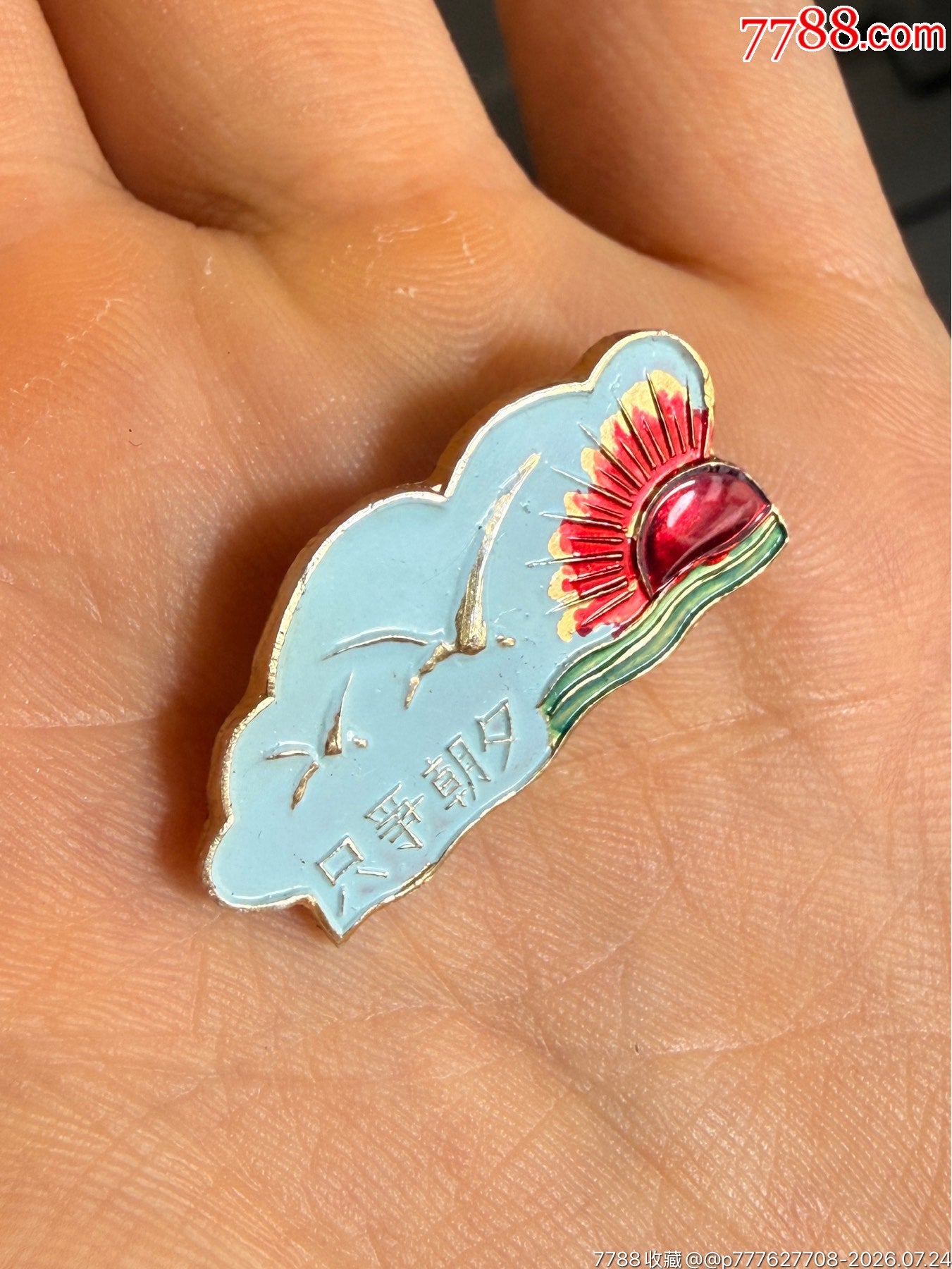 Seize the Day — Seagull Sunrise Aluminium Badge, c.1967–76 — detail 2
