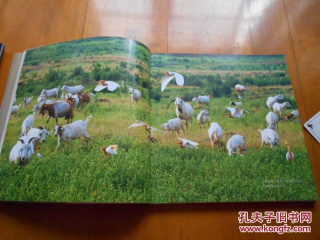 Spring Breeze and Egrets - Li Fuquan Signed Photography Book
