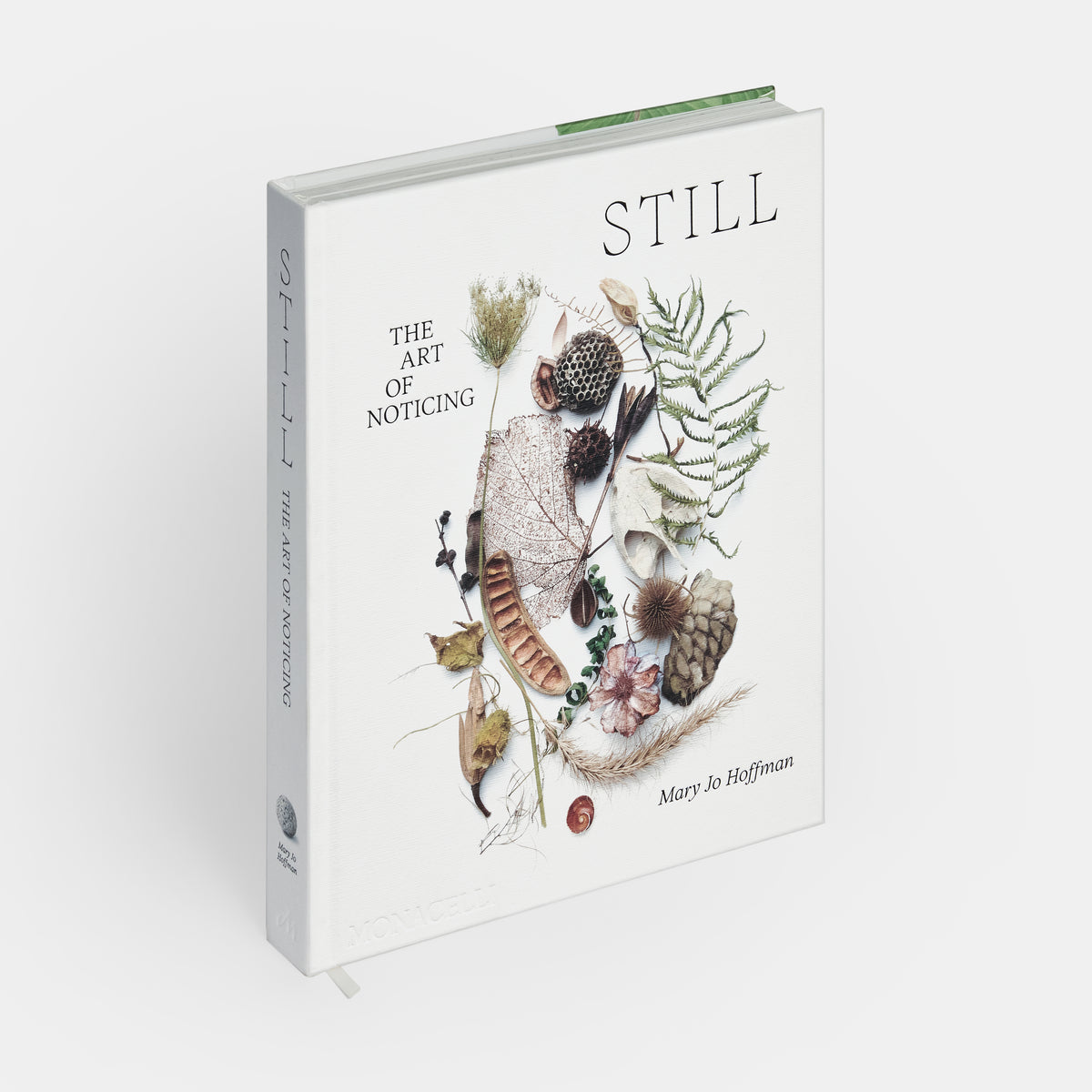 STILL: The Art of Noticing — Mary Jo Hoffman