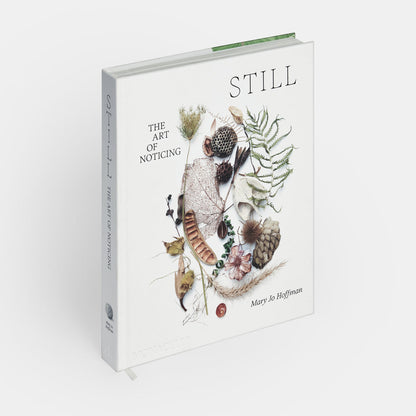 STILL: The Art of Noticing — Mary Jo Hoffman