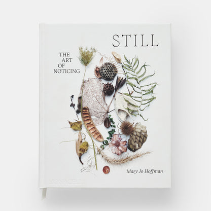 STILL: The Art of Noticing — Mary Jo Hoffman
