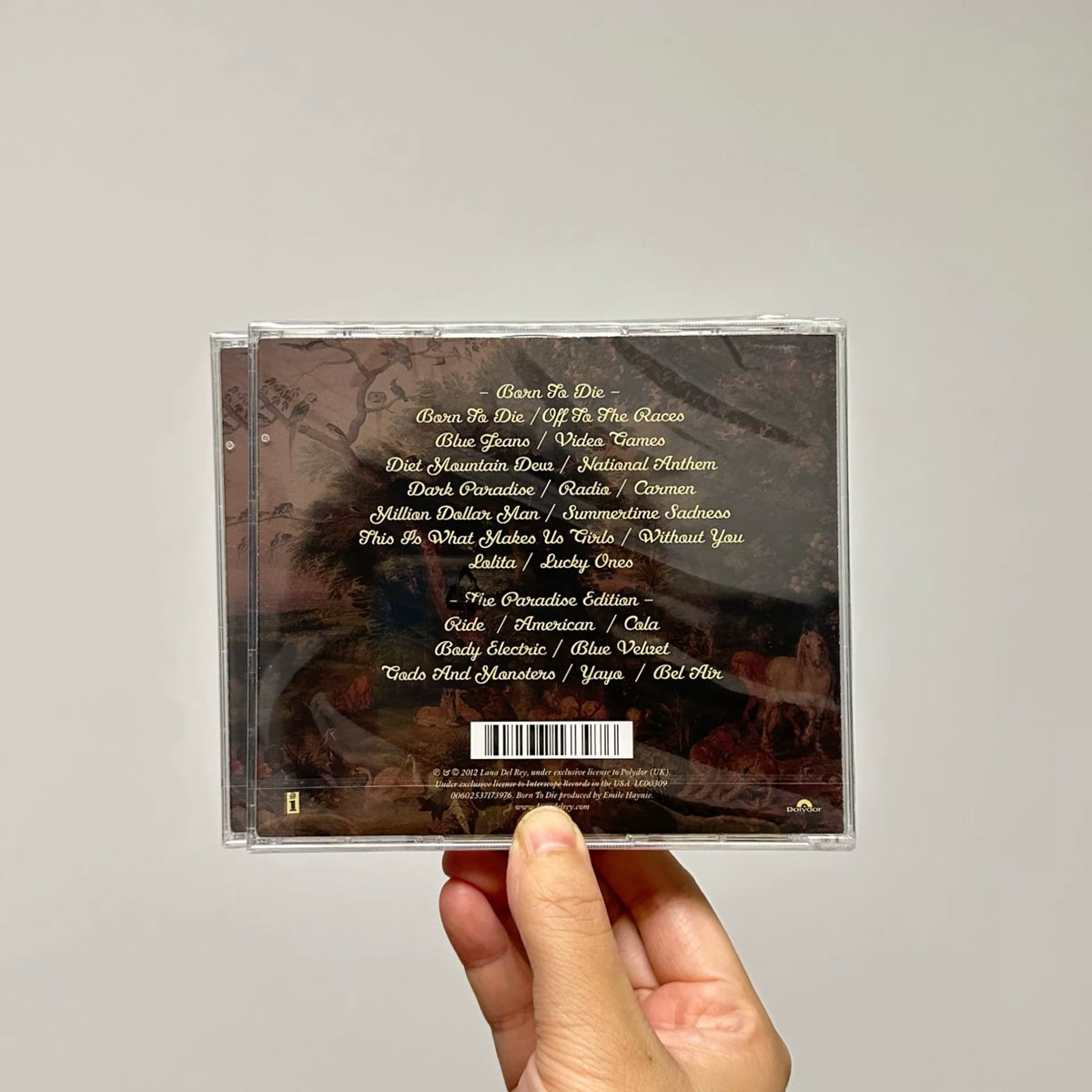 Actual back photograph