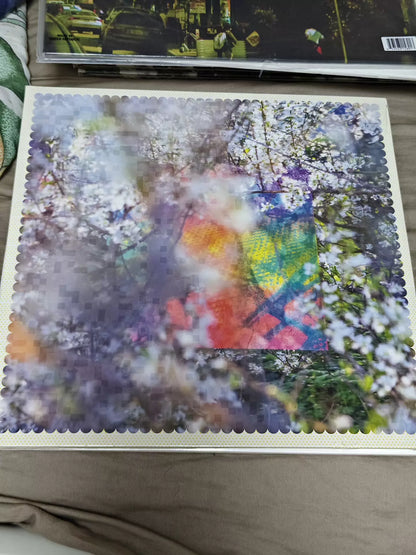 Four Tet – Sixteen Oceans (2LP) – product photograph 1
