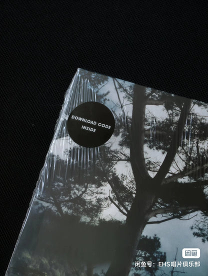 Bonobo – Days To Come (2LP) – photo 3